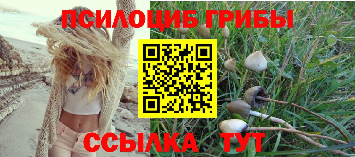 МДМА  NBOMe  КОКАИН  Канабис  A-PVP СОЛЬ кристаллы  Великие Луки  ГАШИШ  Вейп ТГК  Мефедрон   ГАШ  COCAIN  МЕТ  Вход с VPN 